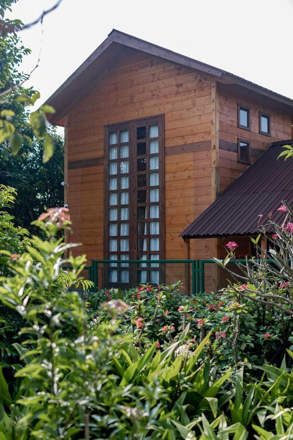 The Pine Loft Bangalore Exterior foto